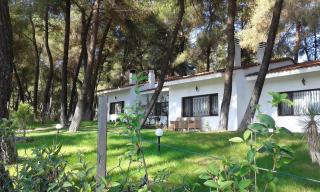 Villa Anty - Sani Beach - 4