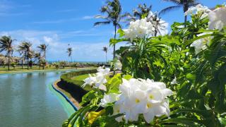 Flat Aquaville perto do Beachpark com 3 Suites - Aquiraz - 7