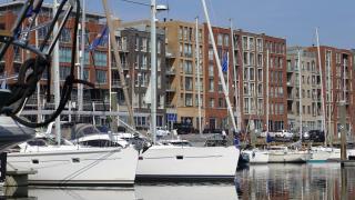BizStay Harbour IV - 5
