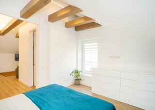 Kaunas Castle Apartments - Studio - 5