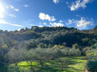 ROSMARINO - Comodità e tranquillità con Giardino e Parcheggio - 1