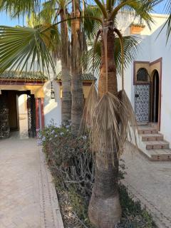 TAWALA Surf Experience, Riad Tawala - 3