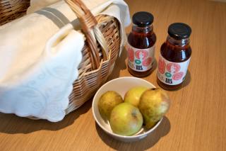 Apartmaji Guerila - 5