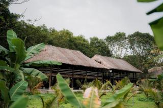 Khu Sinh Thái Rừng Hà Gia - - 8