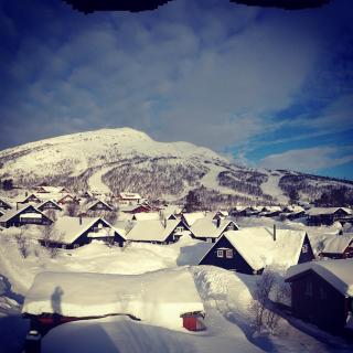 Cozy Cabin Hovden Fjellpark 71 - 9