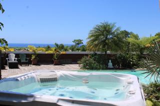 large pool villa, jacuzzi and ocean views - Sainte-Suzanne - 2