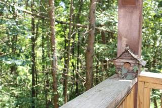 Wren's Nest - 6
