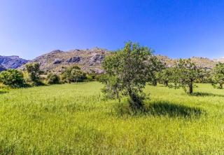 Beautiful villa in the countryside near Pollensa by Renthousing - Pollença - 9