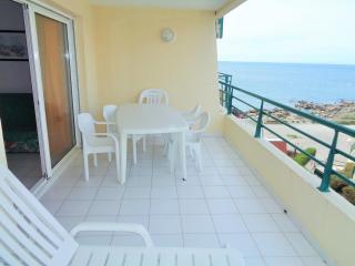 T3 avec large terrasse et garage - 3