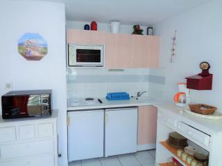 T3 avec large terrasse et garage - 1