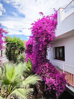El Penell Apartament Llevant - Vilamaniscle - 1