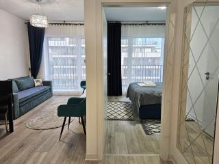 City Cruise Apartment - Brasov - 7