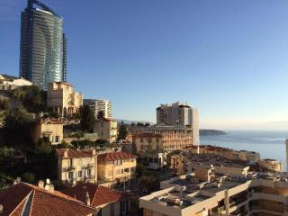 Amazing see view with big balcony near Grimaldi and direct lift to Monaco close to Casino and Larvotto Parking available u - Beausoleil - 2