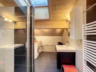 Asters 8 - Verbier - 6