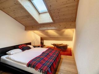 Asters 8 - Verbier - 2