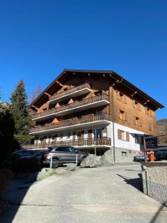 Asters 8 - Verbier - 1