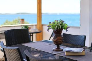 House Dolphin - Tkon - 6