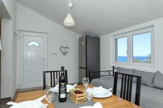House Dolphin - Tkon - 3