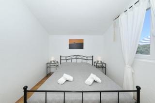 House Dolphin - Tkon - 1