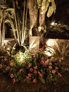 Gardenia 29 - 3