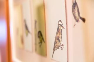 UALM Untermarkter Alm - 2