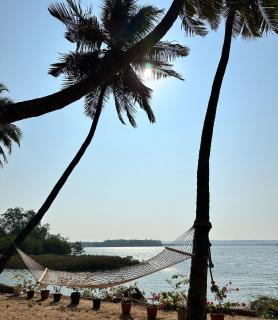Coastal Breeze - Honāvar - 1