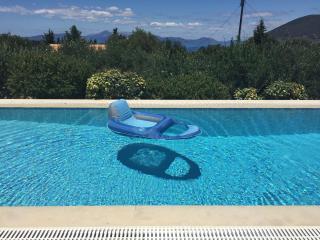Villa Eleni with pool, walk to secluded beach - Evretí - 2
