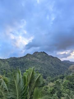 Rich Secret Rooms Ella - 3