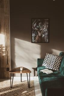 Sowie Chatki - domki z widokiem na Góry Sowie - 8