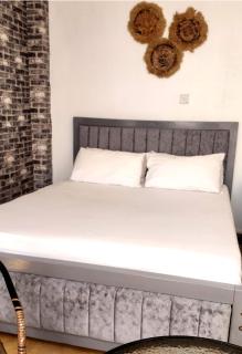 Studio near CBD with rooftop pool - Nairobi - 3
