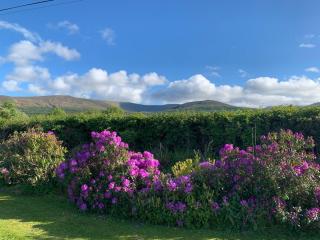 House at the foot of The Galtees - - 5