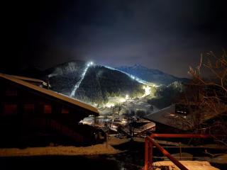 Delightful one bedroom apartment in Les Diablerets - 1