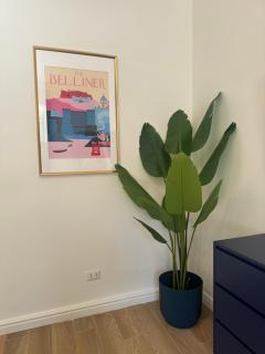 5 Urban Garden House - Naples - 6