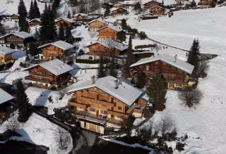 Delightful one bedroom apartment in Les Diablerets - Les Diablerets - 3