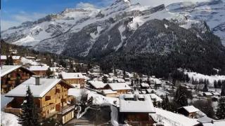 Delightful one bedroom apartment in Les Diablerets - Les Diablerets - 4