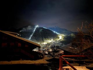 Delightful one bedroom apartment in Les Diablerets - Les Diablerets - 5