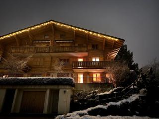 Delightful one bedroom apartment in Les Diablerets - Les Diablerets - 6