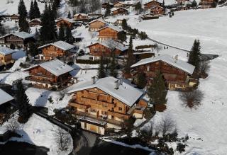 Delightful one bedroom apartment in Les Diablerets - 7