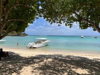 Seascape Holiday Near CLUB MED ALBION - Albion - 4