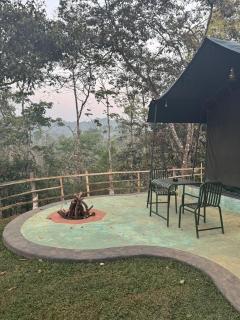 Taiga Forest - Mananthavady - 1