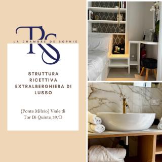 Ponte Milvio Suite & Parking- La Chambre de Sophie - 0