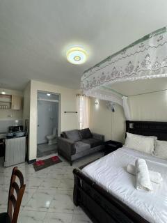 Ecostay Studio 304 - Kisumu - 5