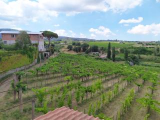 Stanze private in fattoria agricola - Colonna - 6