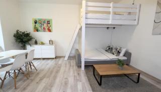 STYLISH FLAT IN PRAGUE - Vinohrady - Prague - 1