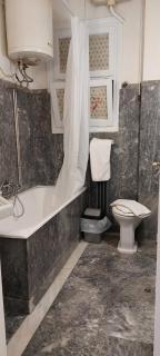 Camellia Apartment ATHENS CENTER 5BD, 2 BATHS - Atene - 6