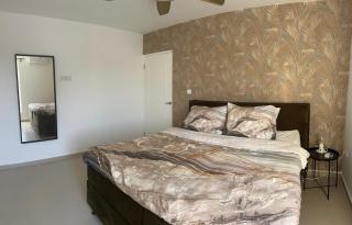 The luxury flamingo - 1