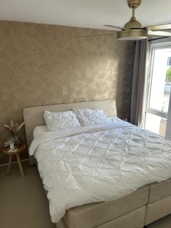 The luxury flamingo - Willemstad - 3