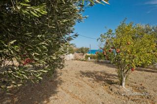 Salla Maria - Karpathos - 1