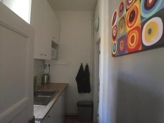 STYLISH FLAT IN PRAGUE - Vinohrady - Prague - 9
