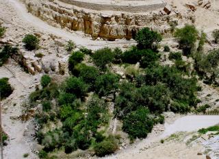 WaterMill House - Wadi Musa - 8